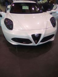 avto_lux_310117_12.jpg