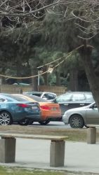 20170317_121426.jpg