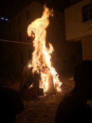 IMG_5426.JPG