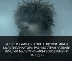 IMG_5527.PNG