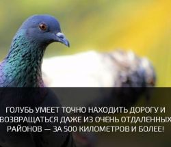 IMG_5528.PNG