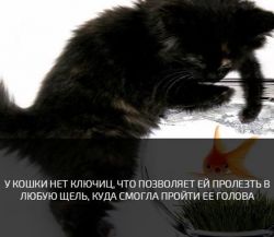 IMG_5529.PNG