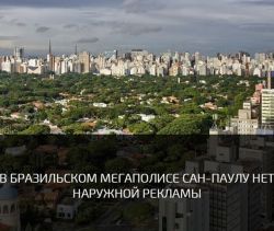 IMG_5531.PNG