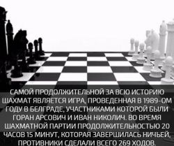 IMG_5532.PNG