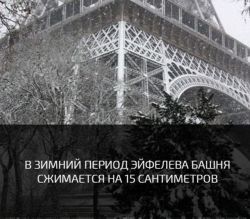 IMG_5534.PNG