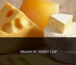 IMG_5535.PNG