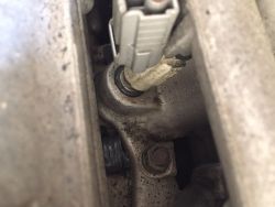 3ba89d1s-960.jpg