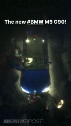 IMG_5321.JPG
