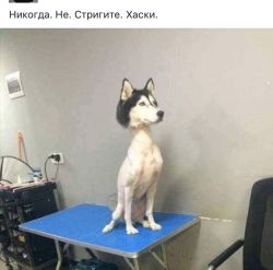 2d2234ef-aae2-447d-beb6-b1892ef9baa3.thumb.jpg.405ac84dcf67c0031e2ece5aade8a9c8.jpg