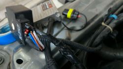 594ed9fc43456_2017-06-2419_02_45.thumb.jpg.4b5b7ebf394fa2069ab15e649ae068f8.jpg