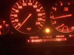 IMG_3515.JPG