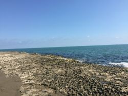 IMG_9923.JPG