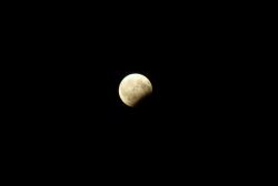 P1120150.thumb.JPG.0cf1441c75b87b89b7408e13da43957b.JPG