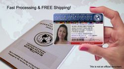 internationaldriverslicense.jpg