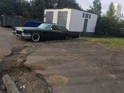 IMG_1426.JPG