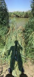 IMG_2247.JPG