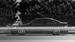 P1120709_.thumb.jpg.ba7f4acdb545d2fe57d9b5d96c2679a5.jpg