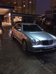 IMG_8361.JPG