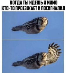 FB_IMG_1512978733480.jpg
