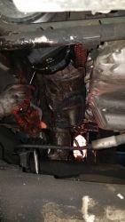20180108_175625.thumb.jpg.716930b4c92cac33e1235f2addb975dc.jpg