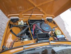 niva07.thumb.jpg.1ed0a825d1728fdbe85374b05e5ba4b0.jpg