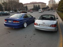 IMG_7979.JPG