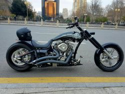 harleybaku.thumb.jpg.d9ef26baddfb52e4d8f16572283be9b1.jpg