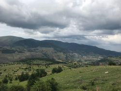 IMG_4740.jpg