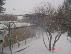 Копия DSC00380.JPG