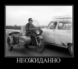 детерминатор.jpg