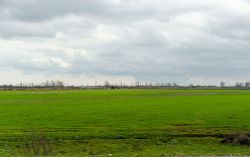_DSC7608.thumb.jpg.2d90d93f1f8a3f0f891618f4c2f4b640.jpg
