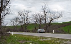 _DSC7630.thumb.jpg.1b383f4c474a207c7626040cc11f6599.jpg