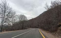 _DSC7691.thumb.jpg.3b6b06ab399038fe4c62ba16e8f7d3bf.jpg