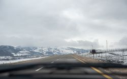 _DSC7705.thumb.jpg.6bad466f1c508175cc083752df2ae59b.jpg