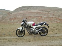 DSC06356.JPG