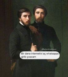231.jpg