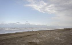 _DSC2516.thumb.jpg.f549bd57acfb9f51c46b1030fb537eb5.jpg