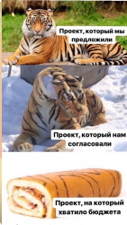 BDC072F0-6B4A-48B2-89C6-B4DE3FA0D14B.png