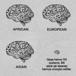 234.thumb.jpg.373e0c3fcf7d06e7c884d8a12a2937e6.jpg