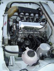 f7QsDBAz1LM.jpg