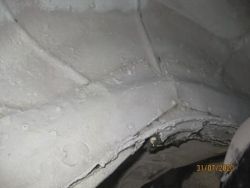 IMG_4123.jpg