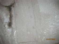 IMG_4125.jpg