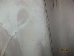 IMG_4128.jpg
