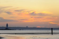 DSC_7798.thumb.jpg.a62992f48db5ec865bb08c158b77ea47.jpg