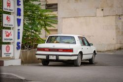 DSC_8111.thumb.jpg.3d643052b91fc47d09282957c018d76f.jpg
