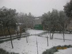 IMG_4395.jpg