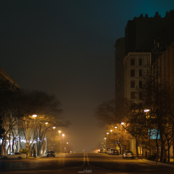 DSC_0304.png