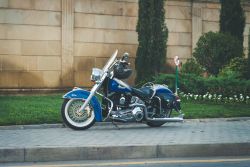 DSC_3343.jpg