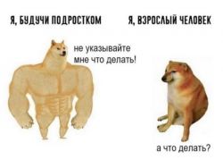 asfds.jpg