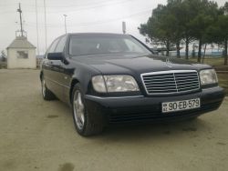 IMG_0982.jpeg